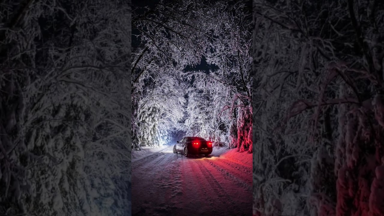 Фотосессия в лесу, для BMW бесплатно 