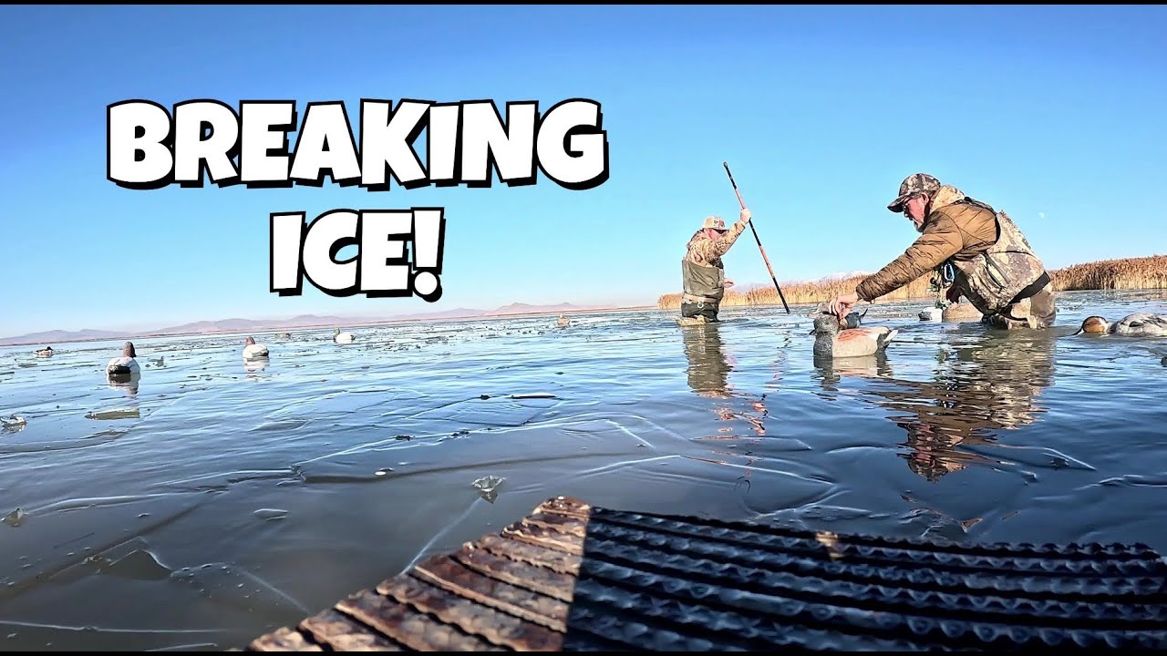 Подготовка к вечерней охоте на уток: захватывающие приключения с шасси для охоты на водоплавающих...