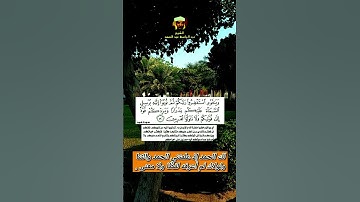 الشيخ|عبد الباسط عبد الصمد [سورة_هود]