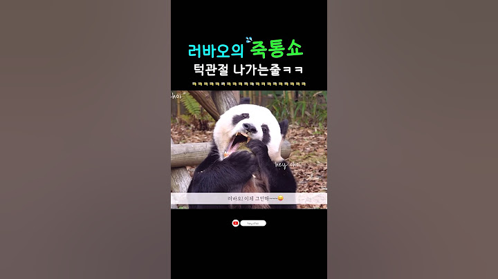 어깨까지 들썩이며 빼빼로통 쪼개는 상남자 판다!!#Shorts#LeBao#푸바오