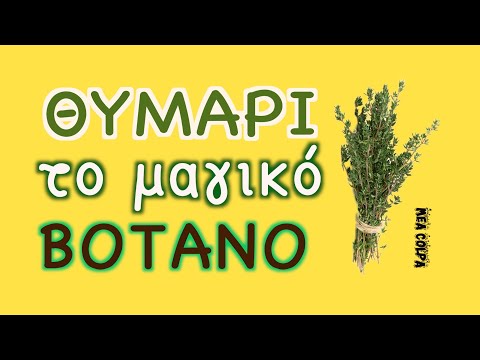 Θυμάρι - Το μαγικό βότανο