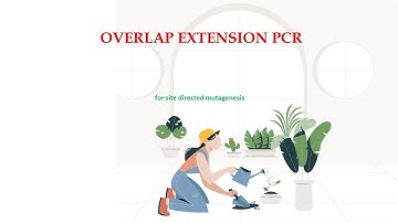 Overlap Extension PCR | Joins two different fragments | Site directed mutagenesis