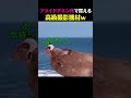 才能を見せちゃいけない理由ww