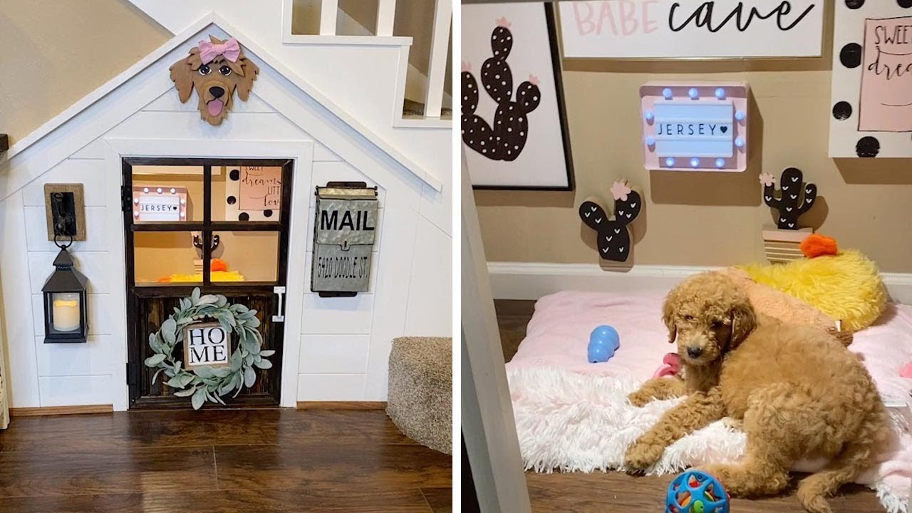 dog room under the stairs