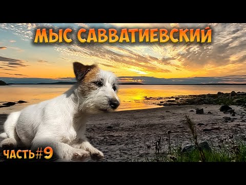 #9 Мыс Савватиевский  | Белое море 2023