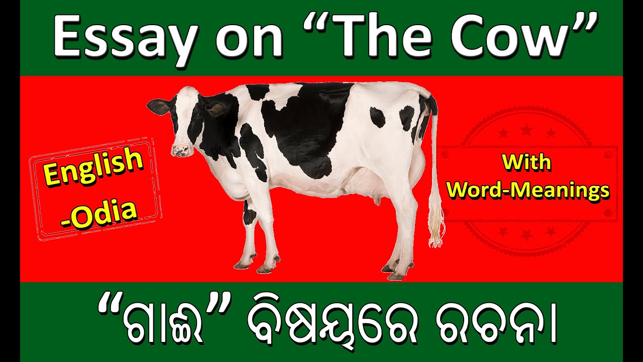 cow essay in odia 10 lines