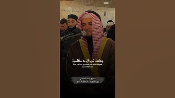 مشاري راشد العفاسي | سورة ابراهيم 🤎 الدنمارك 1446 هـ