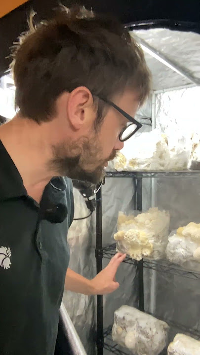 Lion’s Mane CO₂ Problem