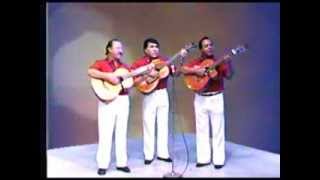 Video thumbnail of "El bardo-Trio Los Bardos"