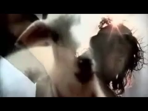 Fittsaft Porr Filmer - Fittsaft Sex Fittsaft Porr Filmer - Fittsaft Sex