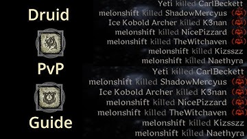 Druid PvP Guide | Dark and Darker