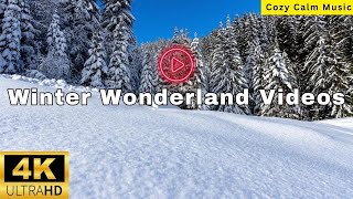 Winter Wonderland 4K Relaxation Film | Relaxing Piano Music Along With Beautiful Nature Winter Video