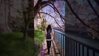 Обыкновенная прогулка может стать воспоминанием