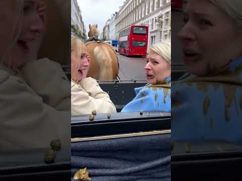 London Carriage Ride Goes WRONG Her Blue Coat Got Covered In Horse Poop LondonFail Horse