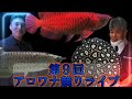 第9回アロワナ競りライブ