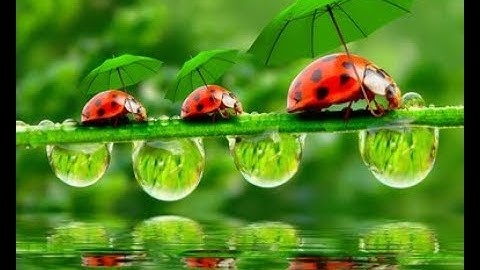 SystemVerilog Assertions CLOCK DELAY OPERATOR with and without range