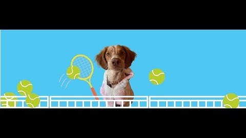 Lesson 2: Sports | Web Dev & Design | The Bit by Bit Coding Club Online