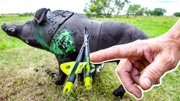 BARE SHAFT TUNE your ARROWS w/ Ranch Fairy!