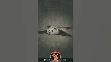 Rust Console New Gen Panda Bear Rug Skin