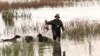 Lov Na Divlje Patke .Family-Urban 2010