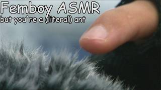 Femboy ASMR but you're a (literal) ant🐜