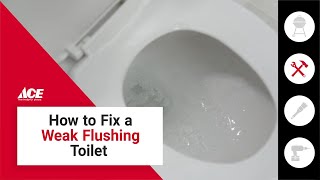 Weak Toilet Flush? Easy DIY Fix | Ace Hardware