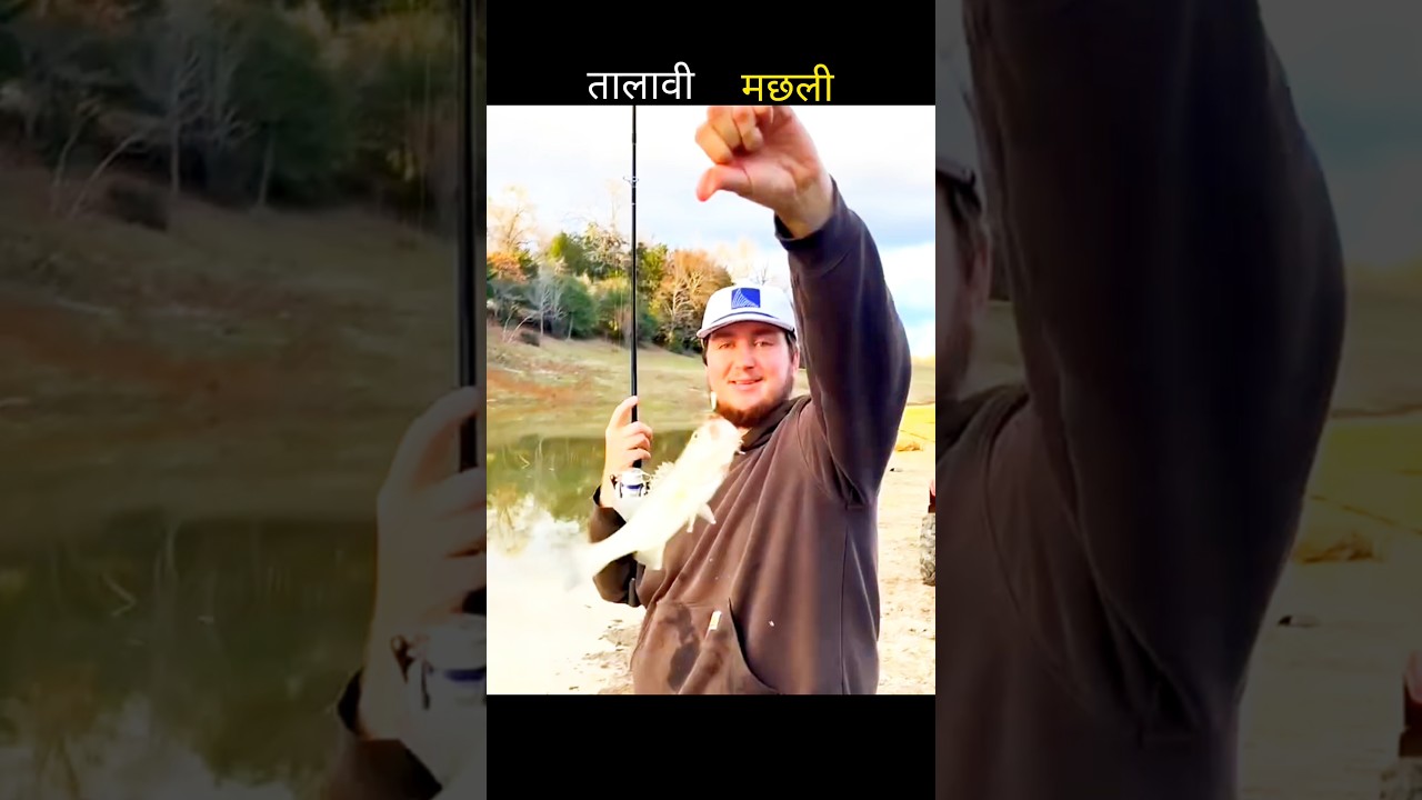 तालावी मछली 😱 #aivideo #fishing #fascinatinginformation #tremendousfacts #amazingfacts #facts