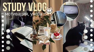 Study Vlog: мотивация, учёба 🔍 школьная неделя