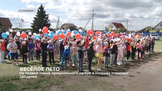 На первой смене пришкольного лагеря в Упорово отдыхают 230 детей