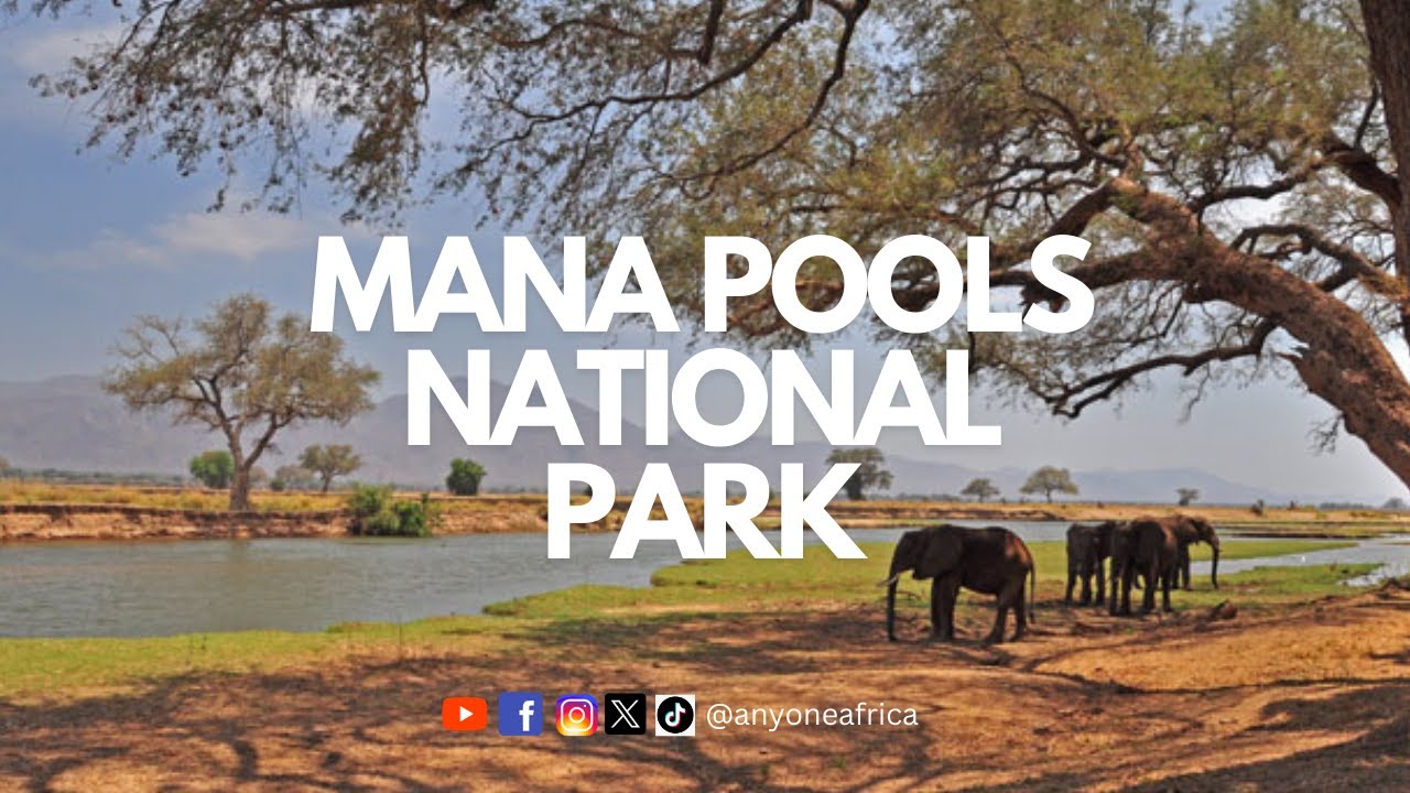 Mana Pools National Park - YouTube