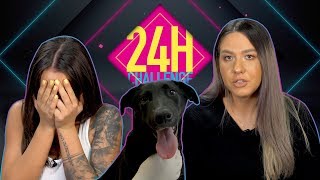 24 De Ore Intr-Un Cabinet Veterinar | 24 Hour Challenge | Part 2