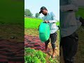 मेथी बिकने का आज है Day NO 1 #desilife #farming #challenge #minivlogs