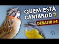 DESAFIO#4 QUE CANTO É ESSE?? DESCUBRA QUE AVE ESTÁ CANTANDO no TESTE DE PASSARINHO