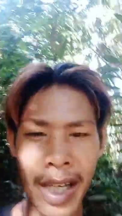 pecarian burung jingjing batu
