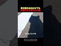 束の間のお出かけでもお喋りが止まらない猫ｗｗ