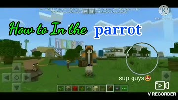 How to In the parrot in the CAGE (Arianne/Miya Gaming