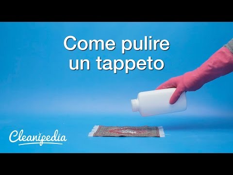 Come Pulire I Tappeti In Pelle Tutto Per Casa