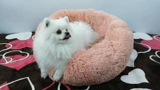 Pet Bed Comfortable Round Kennel Ultra Soft Washable Cushion Bed screenshot 4