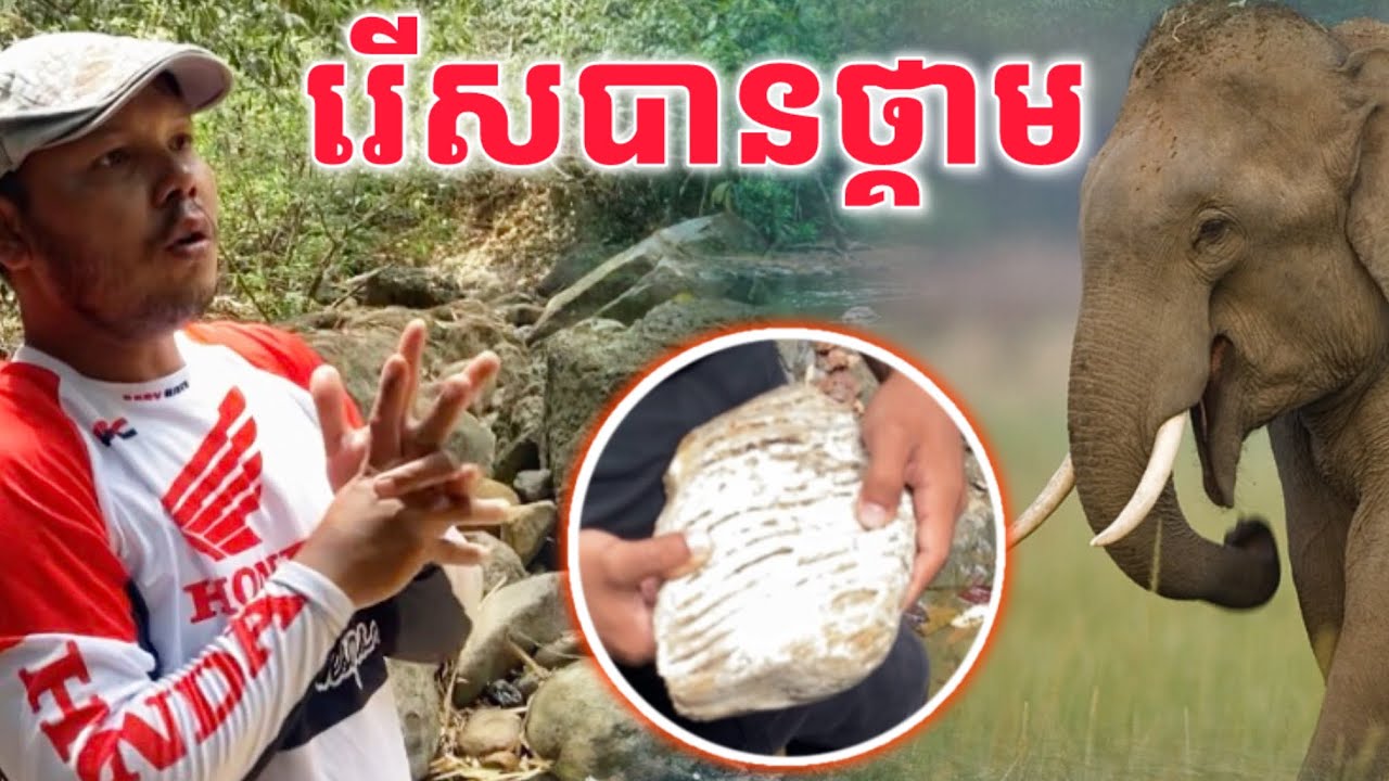 រេីសបានថ្គាម​ ដំរី​ នៅក្នុងជន្លងជ្រោះលេីភ្នំខ្មោច​ 