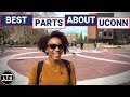 The BEST Parts About UConn - University of Connecticut - Campus Interviews (2019) LTU