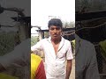 my new insta reels video new kannada tiktok video dolly dialogue acting with my brother