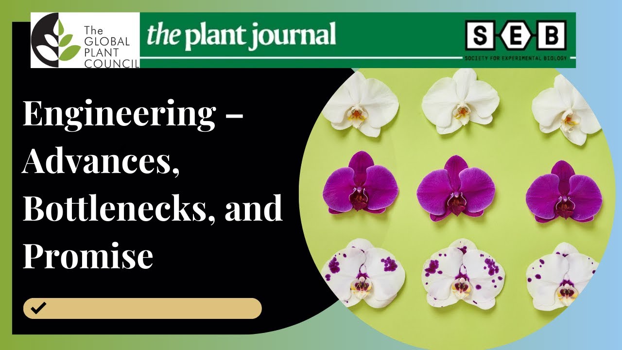 The Plant Journal - Wiley Online Library