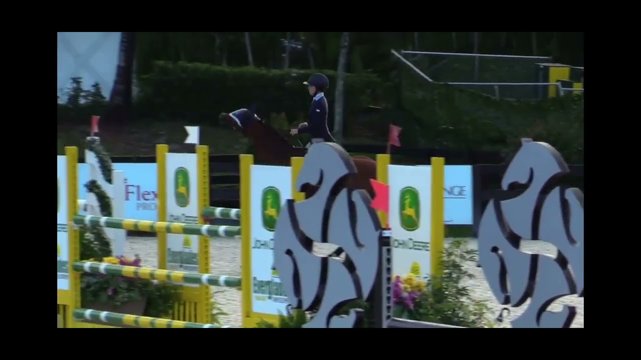 Caloubet 11 WEF ‘22 wk 2 7y/o Jumpers