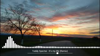 Teddy Specter - It's my life (Remix)