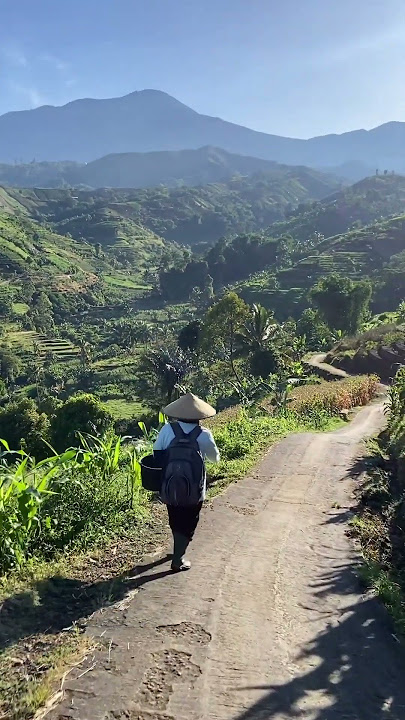 #shortvideo #youtubeshorts #shortsvideo #viral #kampung #gunung #fyp #tiktok #pemandangan #reels