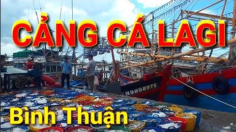 💥 Du lịch LAGI BÌNH THUẬN nhớ ghé CẢNG CÁ Lagi Bình Thuận mua hải sản ngon rẻ🔥Chợ cá Lagi Bình Thuận