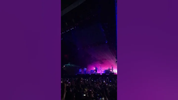 Arrullo de estrellas Zoé