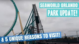 SeaWorld Orlando Park Update, 5 Unique Reasons To Visit and much more! | BrandonBlogs