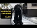 Training my DUCK Dog | Pt. 1 Training my DUCK Dog | Pt. 1