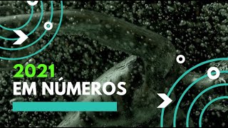 2021 Em Números